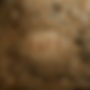 1ae2c8108c7b8c4a8dab6e85d7bb271677e87f26 (1).jpg