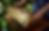 Frame 36 (2).png